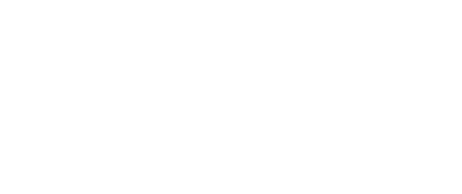 Blue Cross Blue Shield of Massachusetts logo