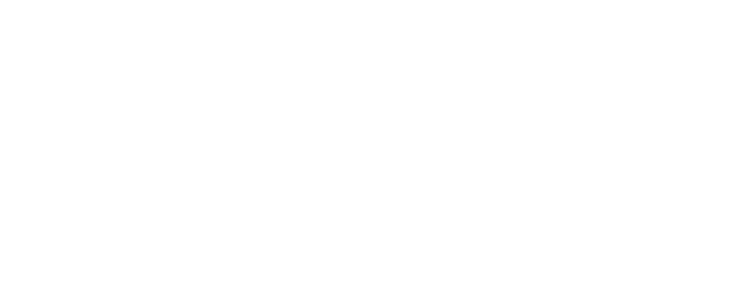 Commonwealth Care Alliance logo