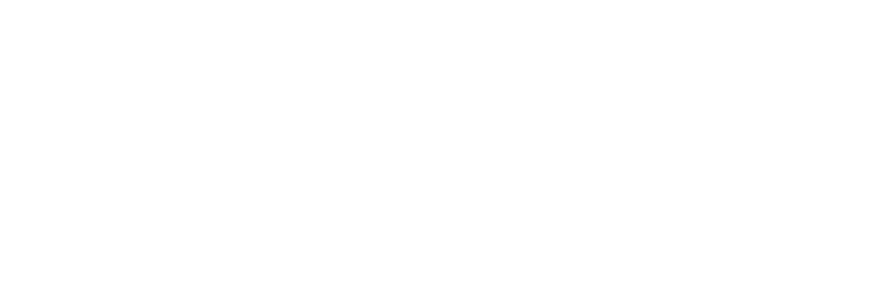 Wellpoint logo