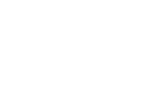 HealthPlans, Inc. logo